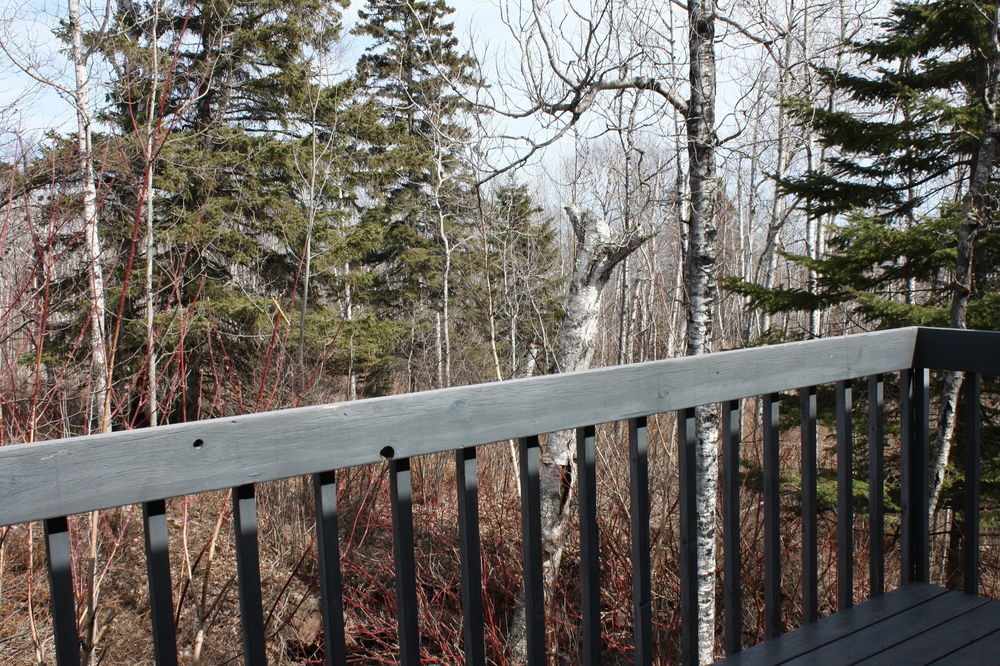 Superior Ridge Resort Motel Schroeder Экстерьер фото
